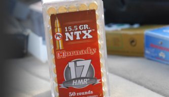 Hornady 17HMR 15.5-grain NTX Varmint Express