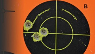Caldwell Orange Peel targets