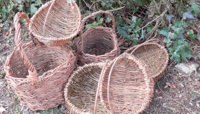 Bushcraft: making a Useful Basket