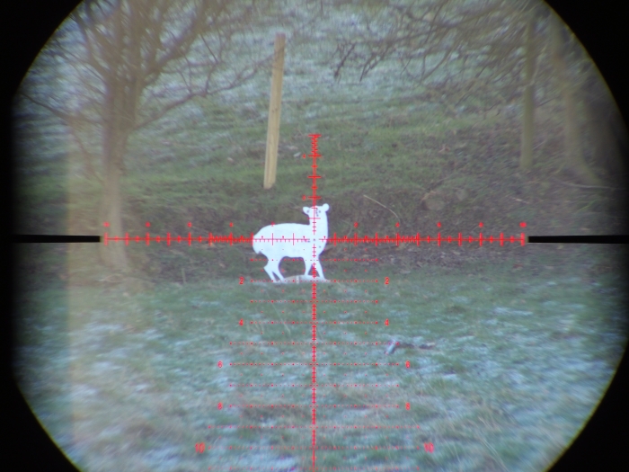 Element Optics Theos 636x56 riflescope Rifle Scope Reviews Gun Mart