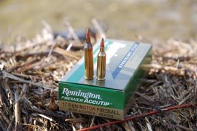 Remington SPS Varmint / 17 Rem Fireball