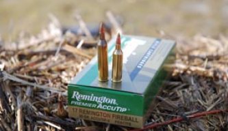 Remington SPS Varmint / 17 Rem Fireball