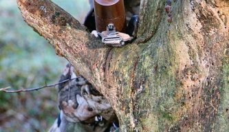 Airgun Hunter: Woodland Hunting
