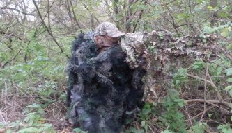 Airgun Hunter: Tree Rats
