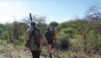 Namibia II kudu and impala