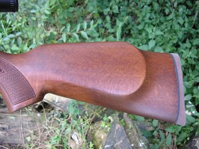 Air Arms Pro-Sport and the Weihrauch HW80