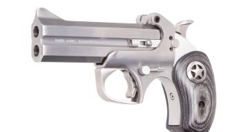 Bond arms ranger II humane dispatch pistol