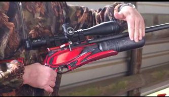 Daystate Red Wolf Serie Rosso PCP Airgun review