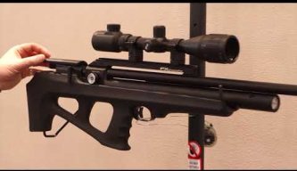 FX Dreamline PCP Airgun IWA 2018