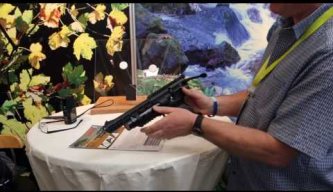 The Weihrauch HW44 air pistol