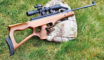 Top 10 Accessories for your Springer