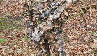 11 Bits of Kit for Ambushing Rabbits