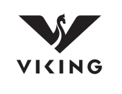 Image result for viking arms
