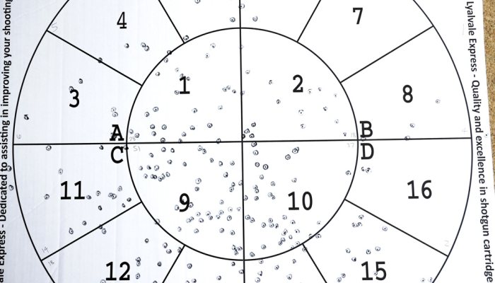  Rizzini BR552 Special Deluxe in 20-gauge  - Something Special - image {image:count}