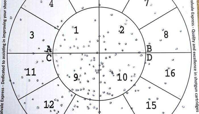  Rizzini BR552 Special Deluxe in 20-gauge  - Something Special - image {image:count}