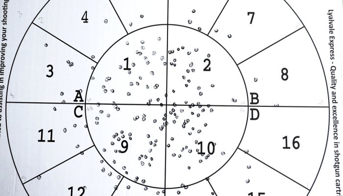 Rizzini BR552 Special Deluxe in 20-gauge  - Something Special - image {image:count}