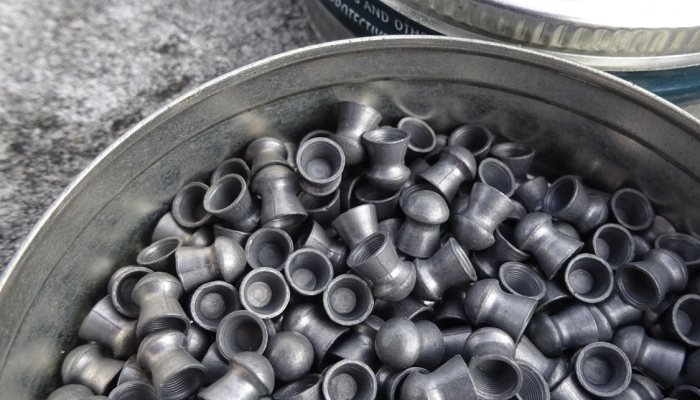 PELLET TEST - Bisley Long Range Gold Pellets - image {image:count}