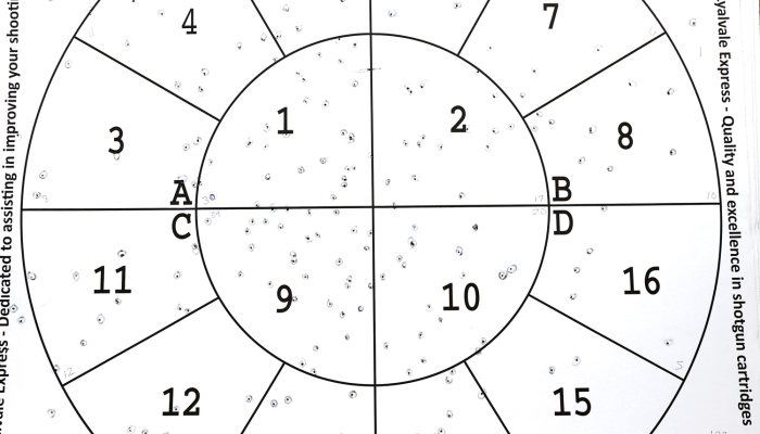 AYA PREMIUM - Dream gun - image {image:count}