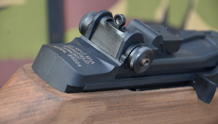 Springfield Armoury M1A - Recognisable - image {image:count}