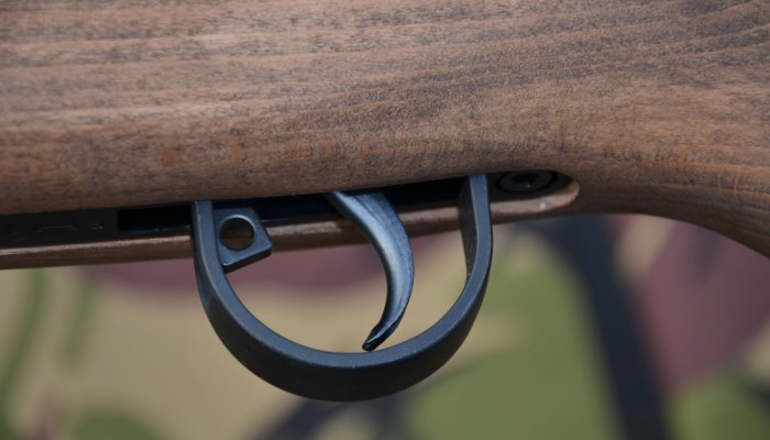 Springfield Armoury M1A - Recognisable - image {image:count}