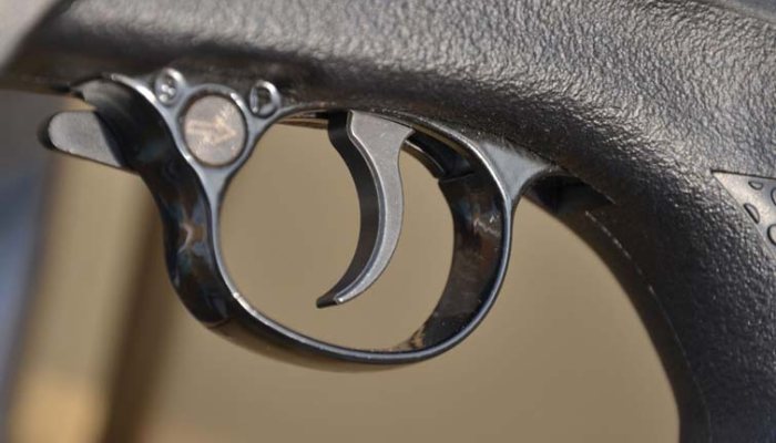 BEEMAN 1085 - image {image:count}