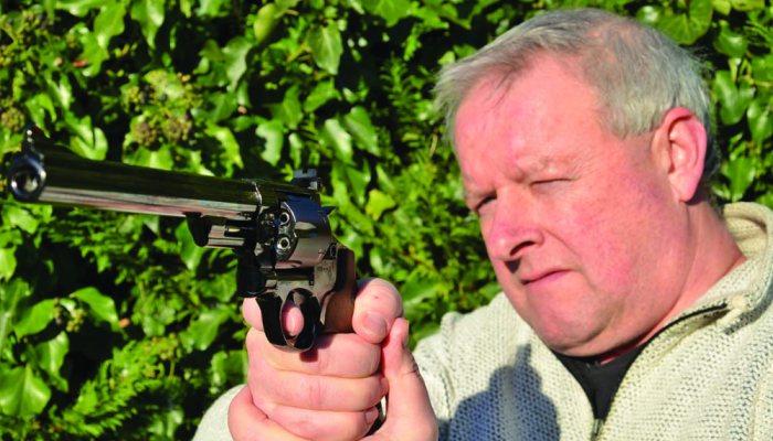 UMAREX SMITH & WESSON MODEL 29 - image {image:count}