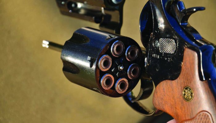 UMAREX SMITH & WESSON MODEL 29 - image {image:count}