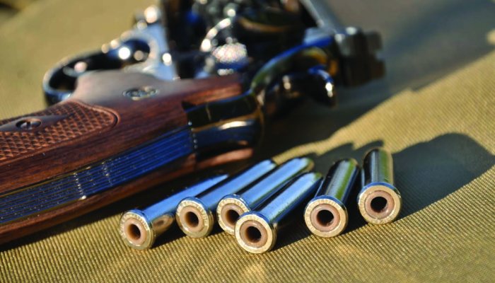 UMAREX SMITH & WESSON MODEL 29 - image {image:count}