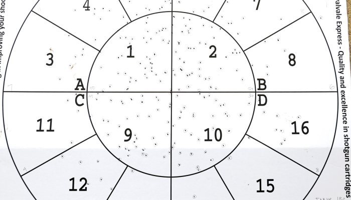 Natural Shooter - image {image:count}