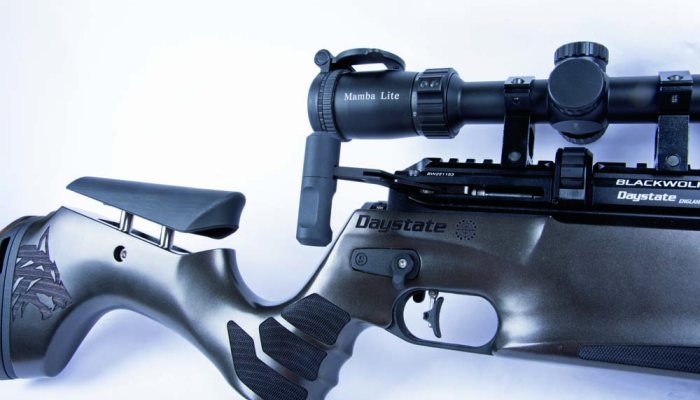 Daystate Blackwolf Review: The Ultimate Modular Air Rifle? - image {image:count}