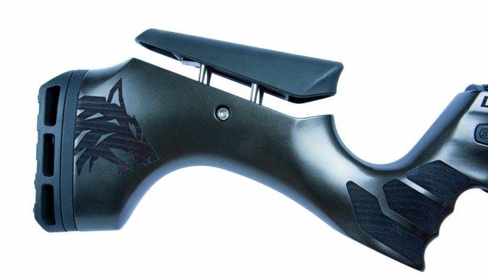 Daystate Blackwolf Review: The Ultimate Modular Air Rifle? - image {image:count}