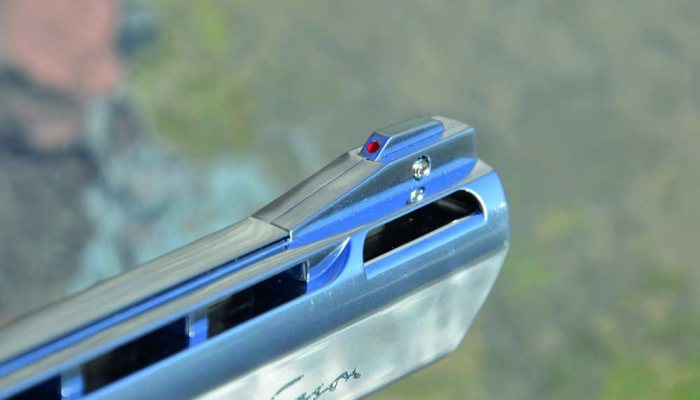 Dan Wesson 6” Pellet Revolver Review: A Hands-On Test - image {image:count}