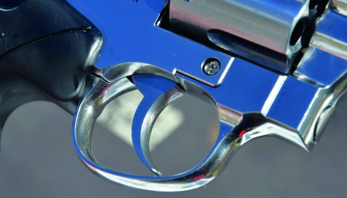 Dan Wesson 6” Pellet Revolver Review: A Hands-On Test - image {image:count}