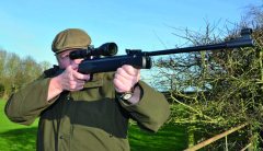 Precihole Minerva Air Rifle Review: A Closer Look at the Budget Springer