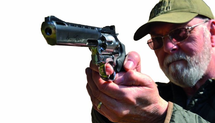 Dan Wesson 6” Pellet Revolver Review: A Hands-On Test - image {image:count}