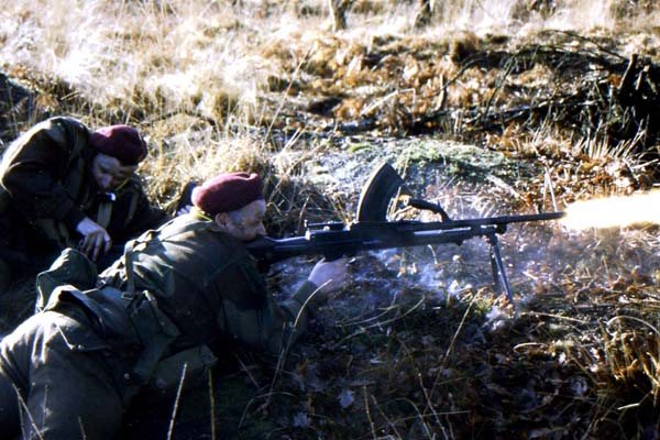 Legendary light machine gun - the Bren Gun - image {image:count}