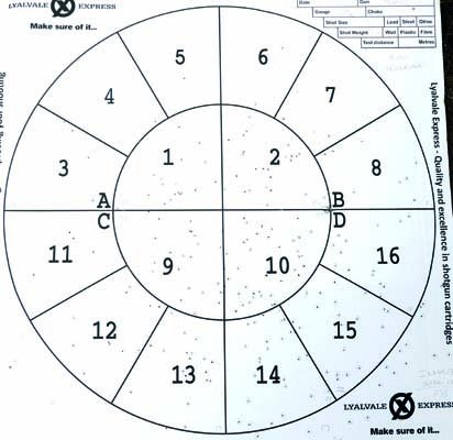 Yildiz SPZ ME - Sweet Shooter! - image {image:count}