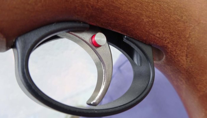 Remington Mammoth PCP Air Rifle Review: A Big Performer - image {image:count}