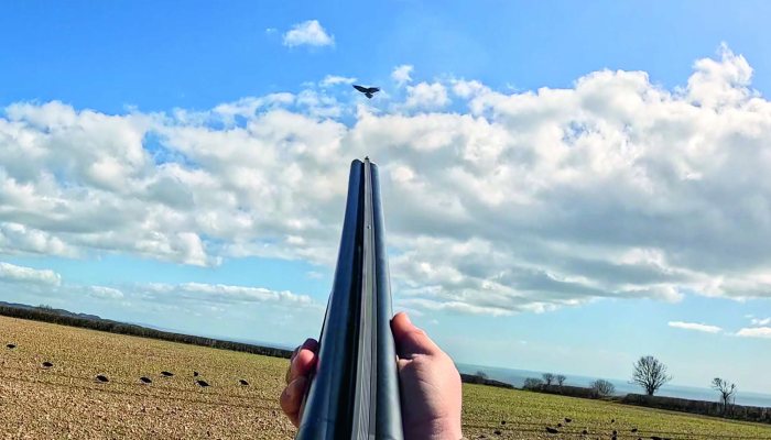 Fabarm Infinite RS Review: A Modern Take on the Side-by-Side Shotgun - image {image:count}