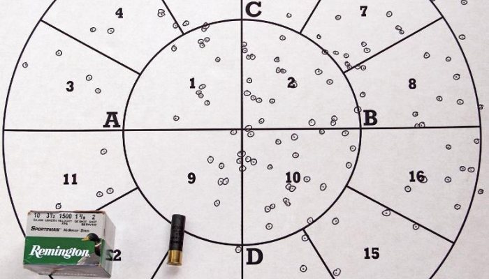 10-Gauge Cartridge  Round-up - image {image:count}