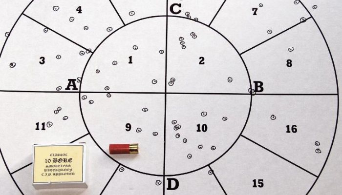 10-Gauge Cartridge  Round-up - image {image:count}