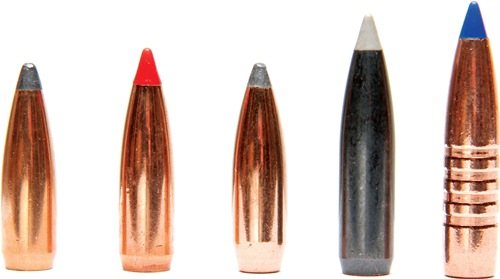 Wildcatting: Perfect Handling - image {image:count}