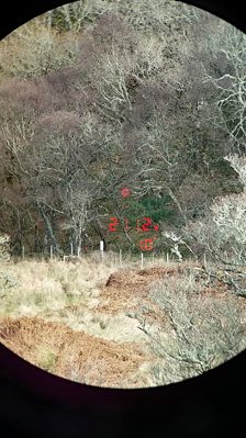 Steiner Ranger LRF 10x42 Range Finding Binoculars - image {image:count}