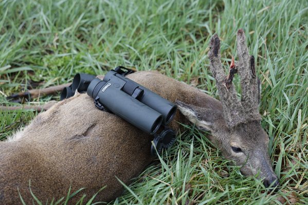 Steiner Ranger LRF 10x42 Range Finding Binoculars - image {image:count}