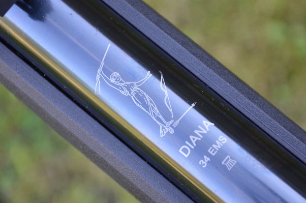 Diana 34 EMS Black Polymer – Pretty Poly - image {image:count}