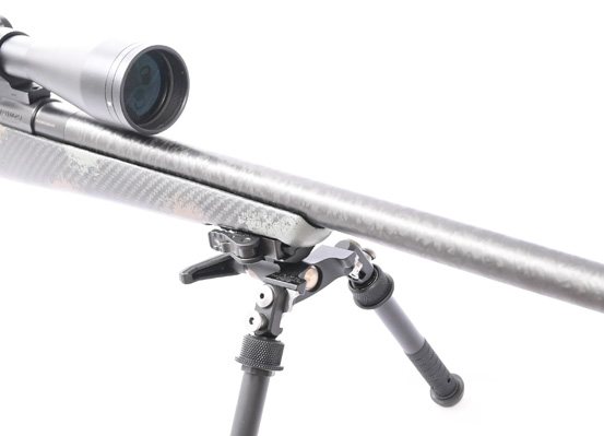 Fierce CT Rage – Absolutely Ace - image {image:count}