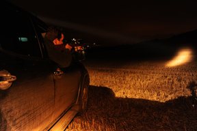 Lamping Part I - image {image:count}