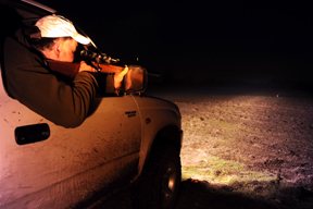 Lamping Part I - image {image:count}