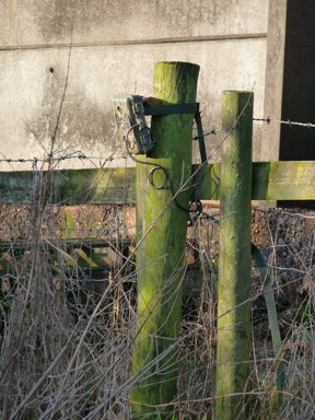 Thomas Jacks Spy-Point FL-A and Pro-X Scouting Cameras - image {image:count}