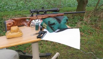 17 Hornady Magnum Rimfire Ammunition